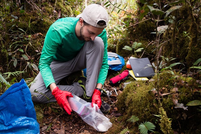 Arlo Hinckley studying a soft-furred hedgehog in the field 