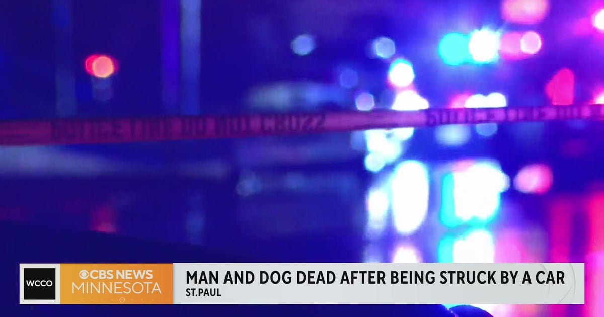 Man and his dog fatally struck by motorist in St. Paul - CBS Minnesota