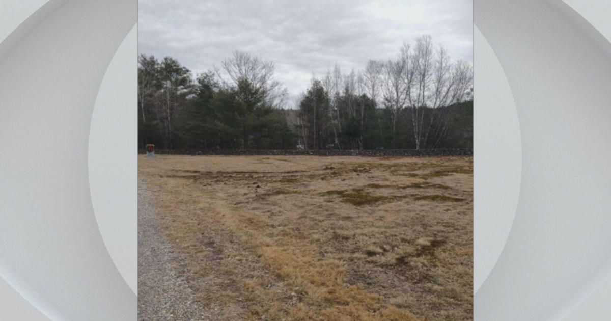 Damage found at Croydon Flat Cemetery in Croydon, New Hampshire