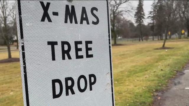 Where to recycle your Christmas tree in Metro Detroit 