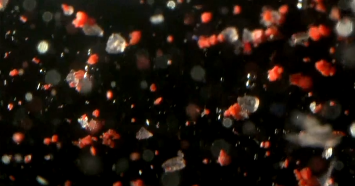 Billions of pounds of microplastics are entering the oceans every year. Researchers are trying to understand their impact.