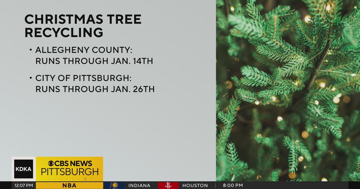 Annual Christmas Tree Recycling Program begins in Allegheny County