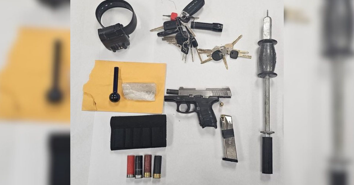 Northern California man accused of false imprisonment, gun and drug charges