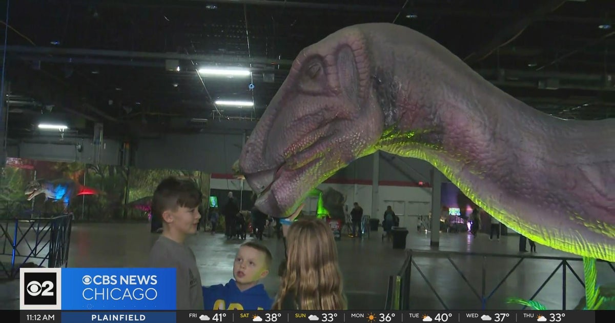 Dinosaurs from 