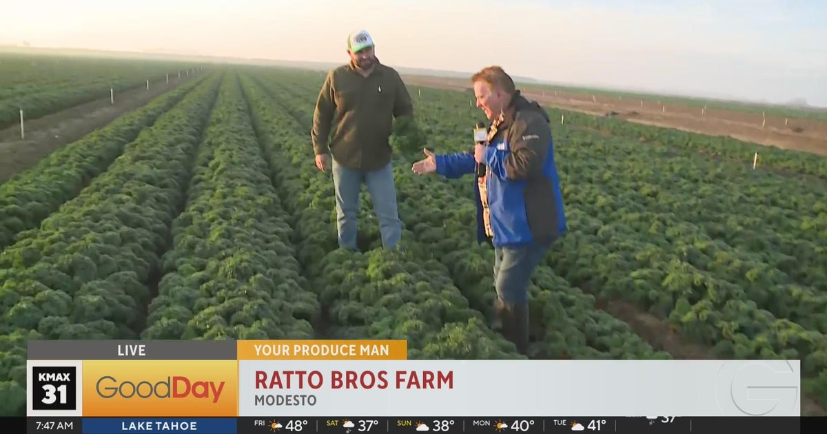 Ratto Bros Farm - Good Day Sacramento