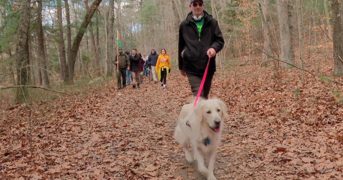 Groups ring in 2024 with New Year’s Day guided hikes on Massachusetts trails