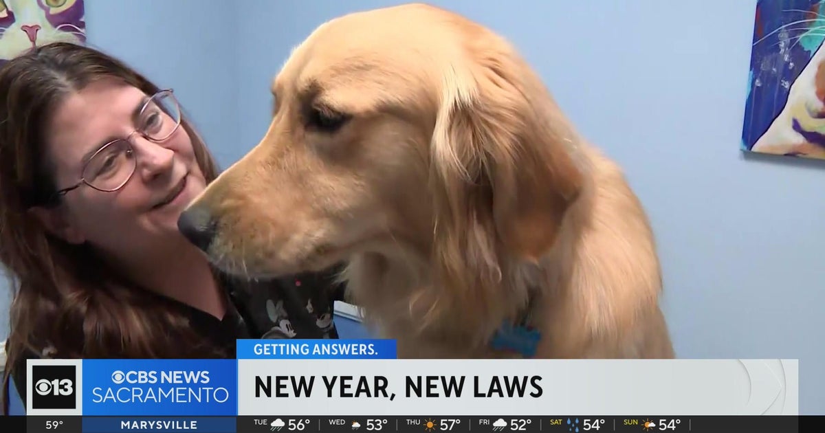 New laws now in effect in California