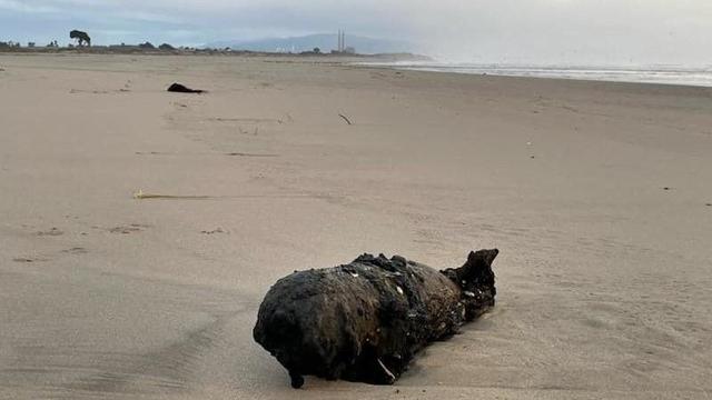 Bomb washes ashore on Santa Cruz beach 