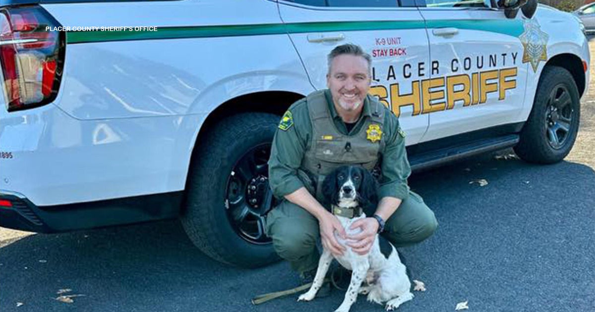 Placer County Sheriff gets its first certified bomb detection dog