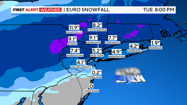 fa-futurecast-snowfall-euro.png