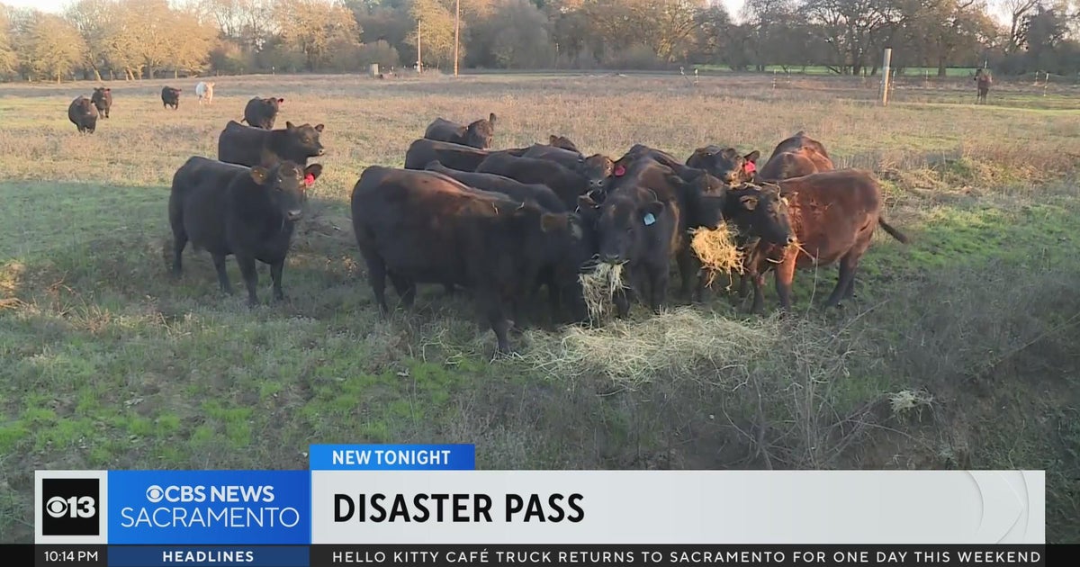 New Sacramento County program aims to help save livestock during disasters