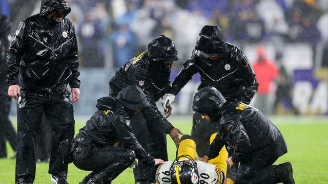 Pittsburgh Steelers v Baltimore Ravens 