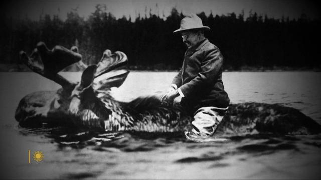 teddy-roosevelt-riding-a-moose-1920.jpg 