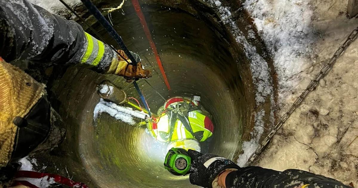 New Hampshire firefighters rescue German Shepherd that fell into well during storm