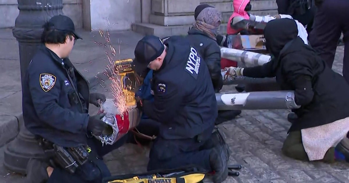 More than 300 people in custody after proPalestinian rally blocks Holland Tunnel Brooklyn  Manhattan bridges police say  CBS News More than 300 people in custody after proPalestinian rally blocks Holland Tunnel Brooklyn  Manhattan bridges police say  CBS News