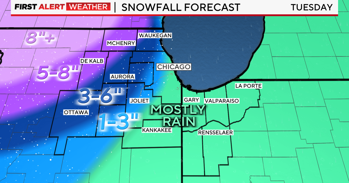 How much snow in Chicago today? Here's what to expect - CBS Chicago