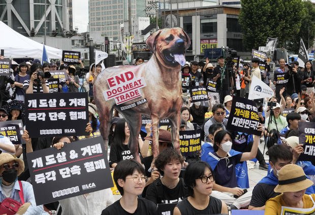 South Korean lawmakers back ban on producing and selling dog meat