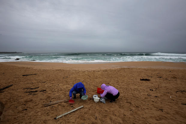 Millions of plastic pellets wash up on Spanish shore 