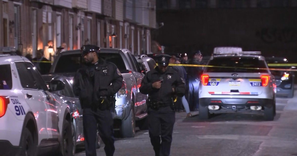 Police shoot dog after group of pitbulls attack another dog in ...