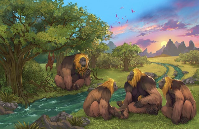 This illustration provided by researchers depicts Gigantopithecus blacki in a forest in the Guangxi region of southern China.