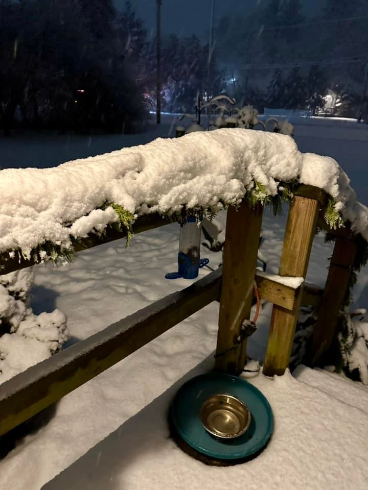 Residents experience heavy snowfall in SE Michigan 