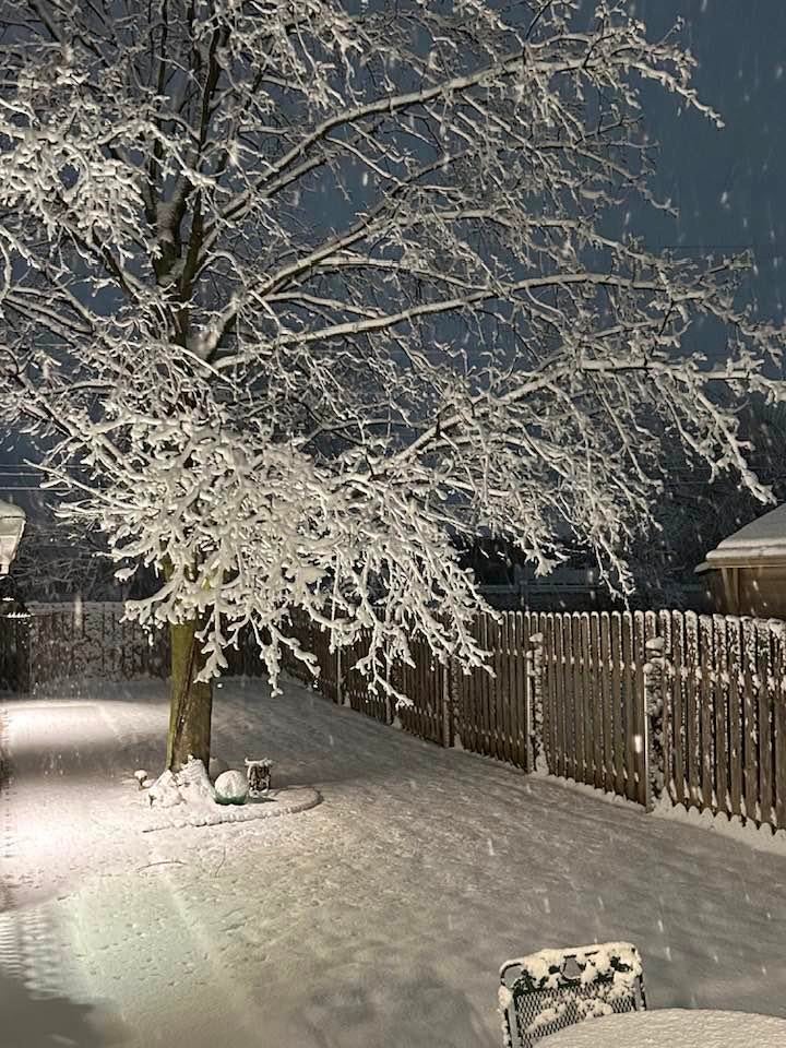 Residents experience heavy snowfall in SE Michigan 