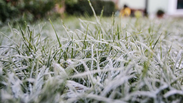 Georgia bracing for possible 1st freeze of the season as cold front heads toward state