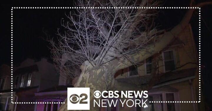 Massive tree falls on home in Queens, no injuries reported - CBS New York