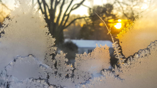 Feathered ice crystals 