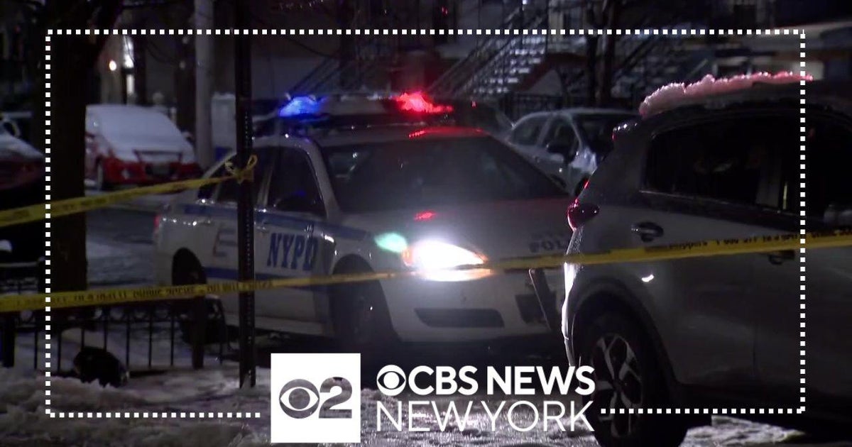 NYPD officers shot in Brooklyn released from the hospital - CBS New York