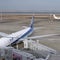 Japan ANA plane turns back to Tokyo after man bites flight attendant