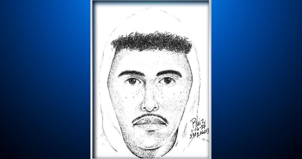 Police release sketch of San Mateo sexual assault suspect - CBS San ...