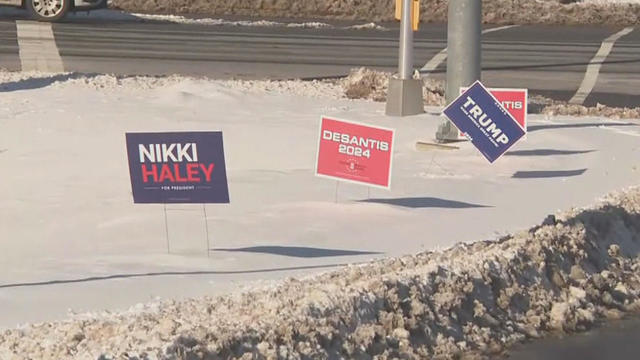 NH primary signs 