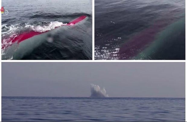 haeil-2-north-korea-underwater-nuclear-drone.jpg