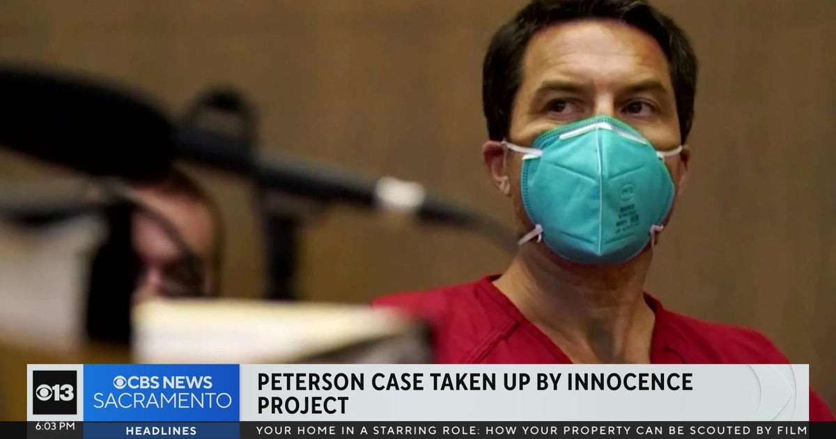 Digging into court documents following news of Innocence Project taking up Scott Peterson case