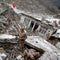 China landslide death toll hits 20 with some 24 missing