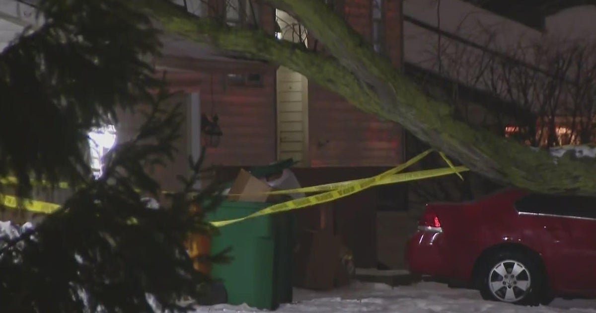 Eight people dead in Joliet killing spree CBS Chicago