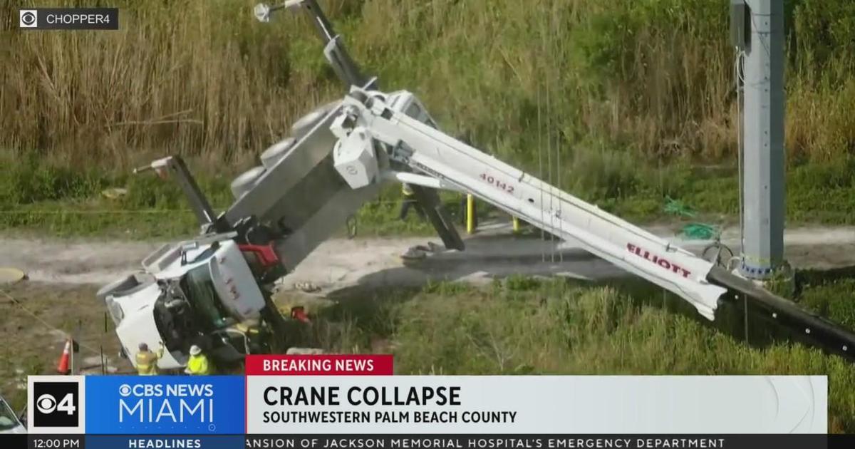 Two males hurt when crane toppled in Palm Beach front wildlife spot