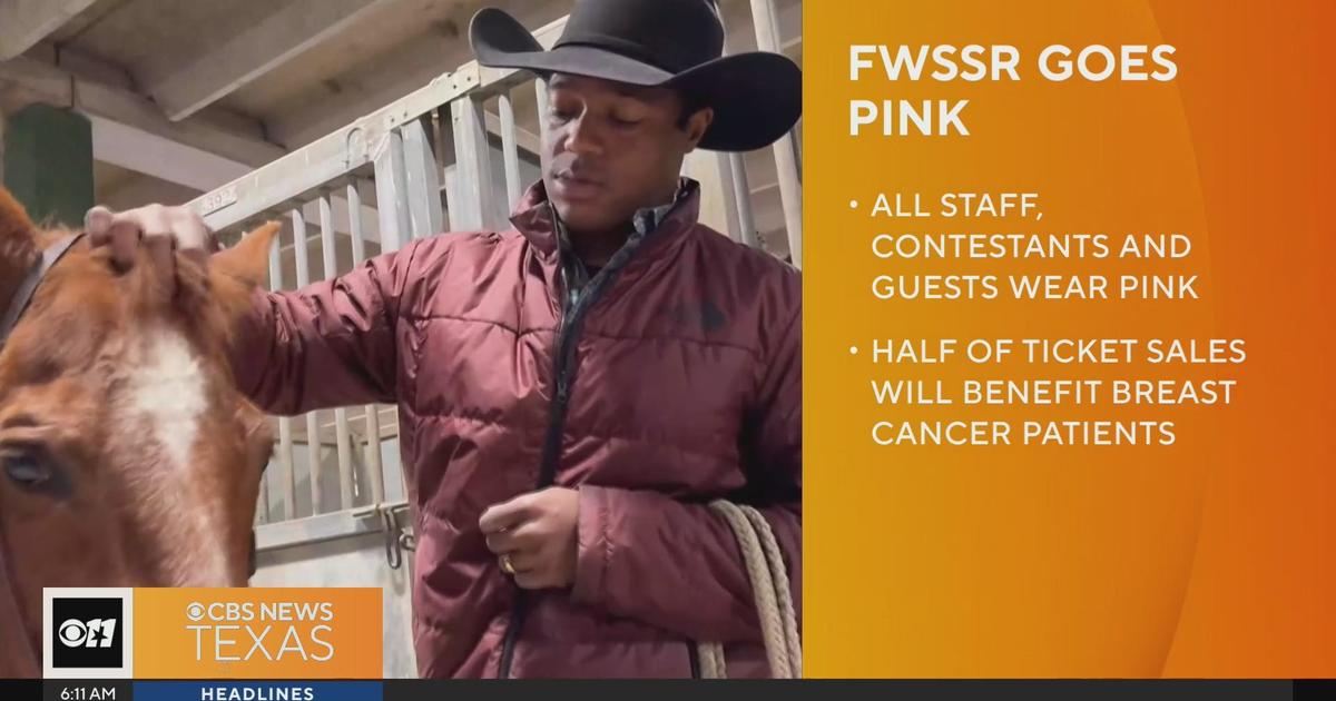 Pink Cow display coming to the Big Fresno Fair, honors women battling  cancer - ABC30 Fresno