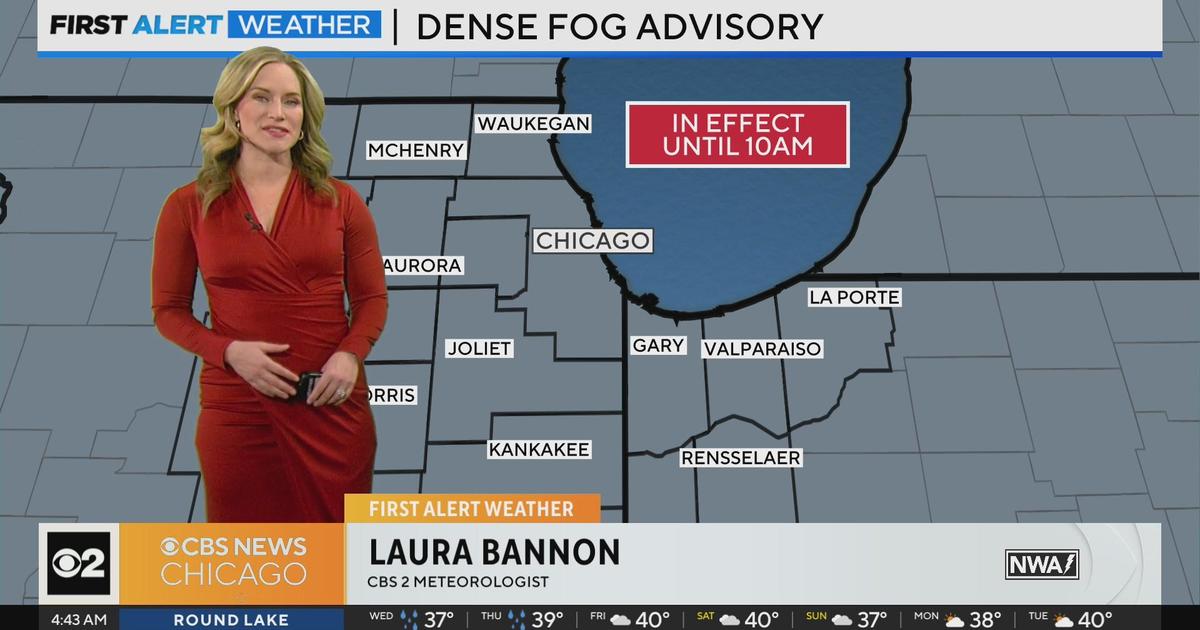 Dense fog advisory in effect - CBS Chicago