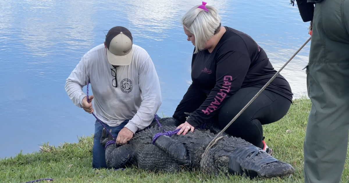 Семейството на възрастна жена, убита от алигатор миналата година, е завело