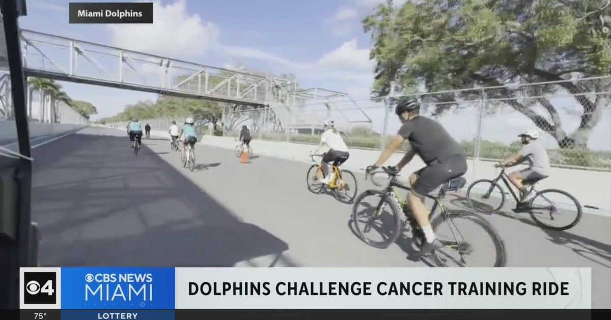 Dolphins Obstacle Cancer education trip
