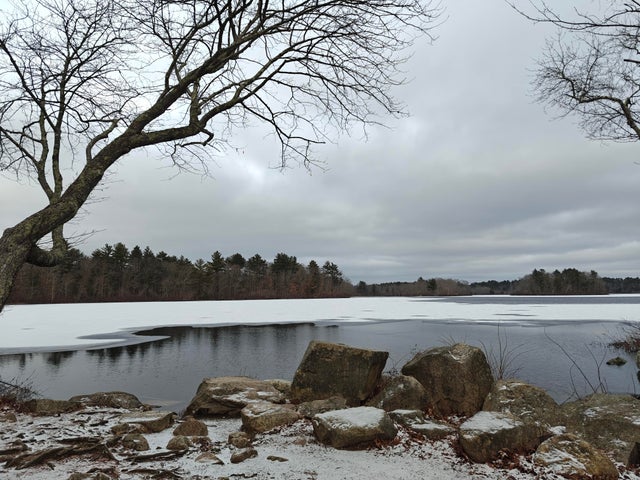 OnePlus 12 Smartphone Review 