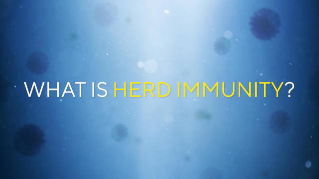 still-what-is-herd-immunity.jpg 