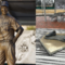 Man arrested in Jackie Robinson statue theft