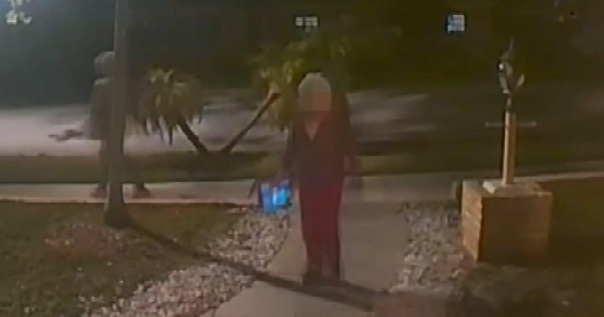 Exclusive: Youthful child utilised as porch pirate captured on video clip, victim speaks out Exclusive: Youthful child utilised as porch pirate captured on video clip, victim speaks out