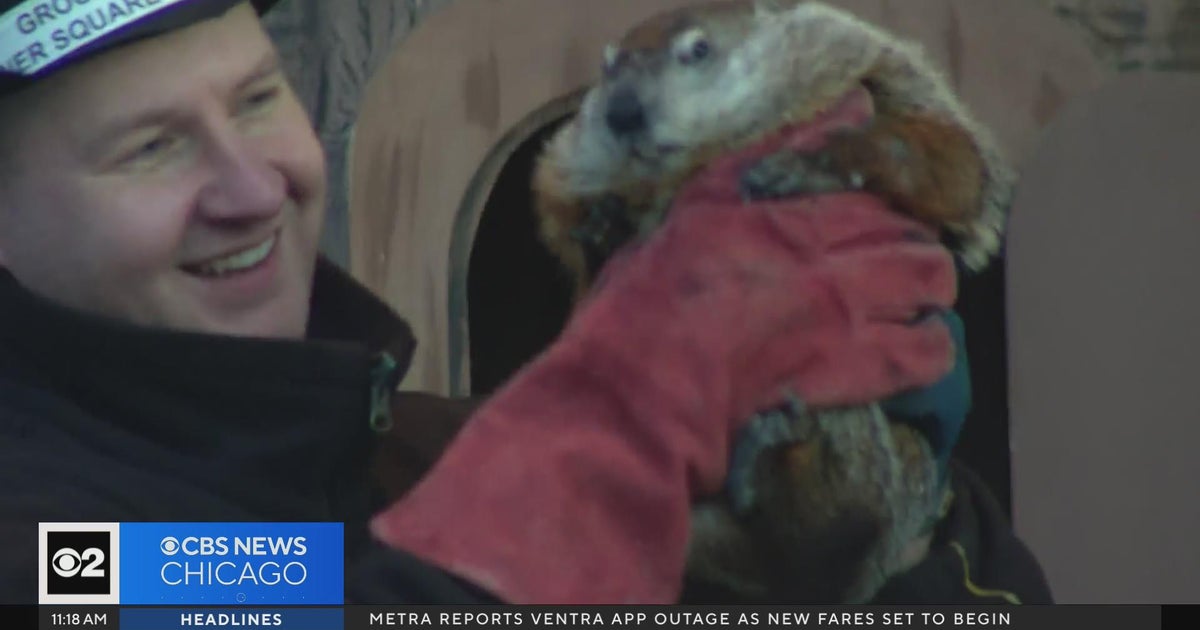 Woodstock prepares for Groundhog Day on Friday - CBS Chicago