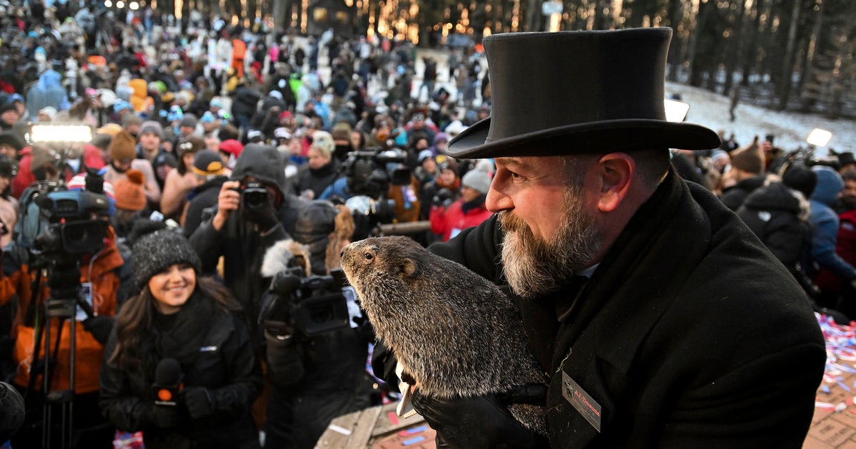 The origins of Groundhog Day and Punxsutawney Phil - Vimarsana News