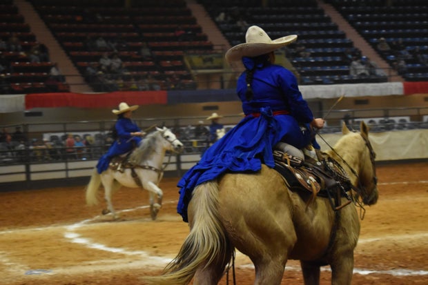 Escaramuza teams