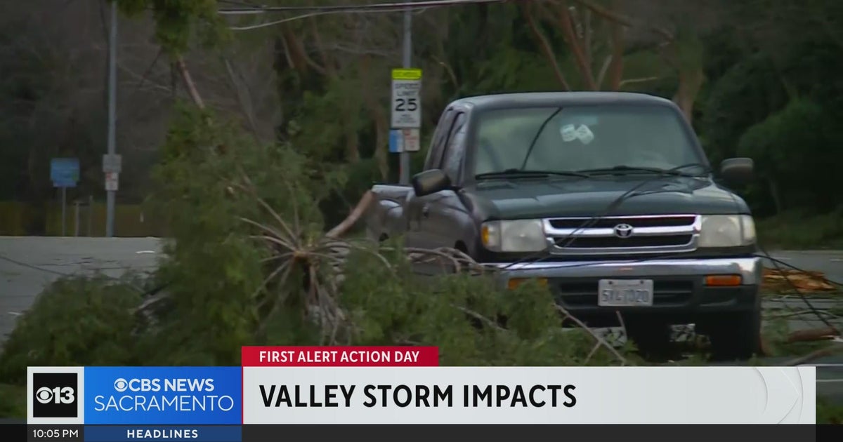 Wind gusts bring trees down all across Sacramento County